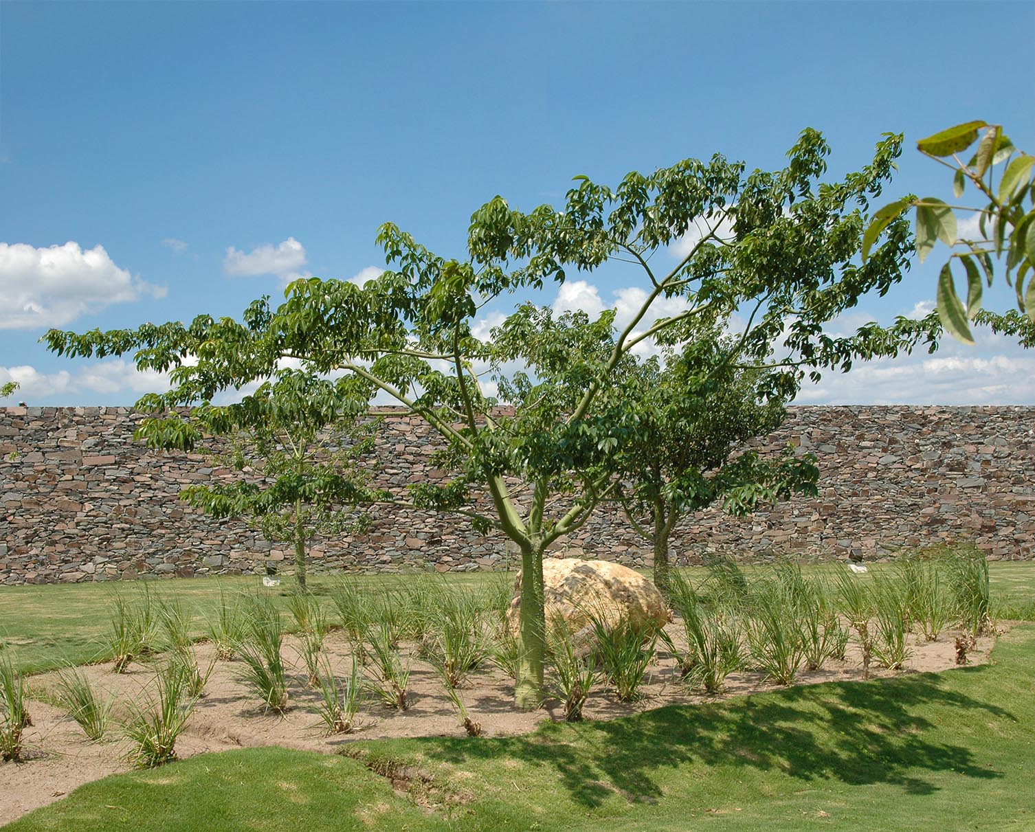 El Río Country Club Ingreso, 2001 : Francisco Ugarte