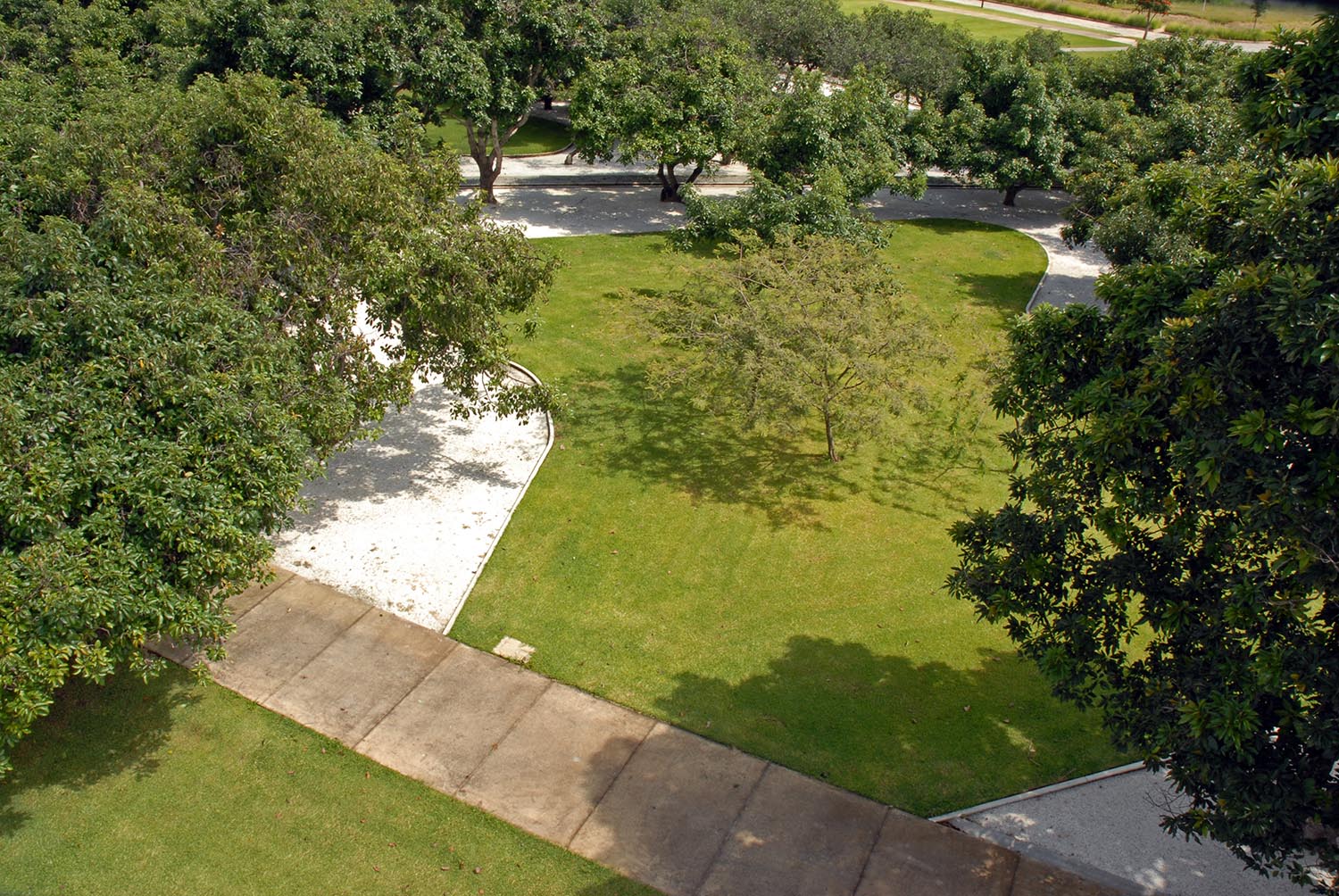 Parque Aguacates, 2005-2006 : Francisco Ugarte