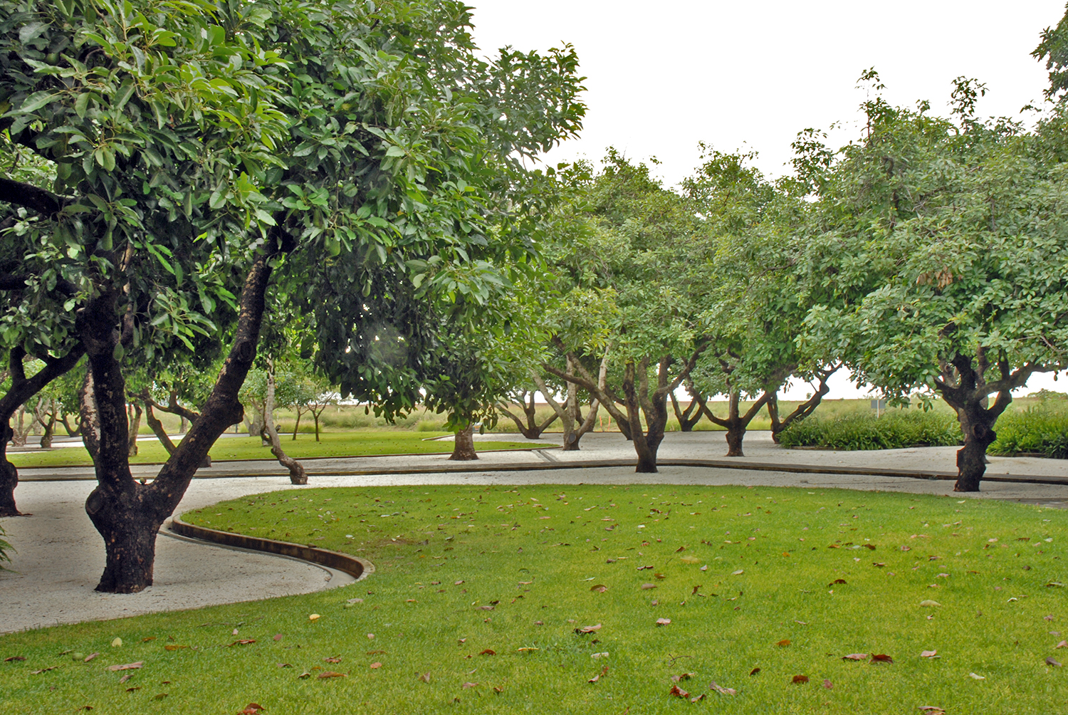 Parque Aguacates, 2005-2006 : Francisco Ugarte