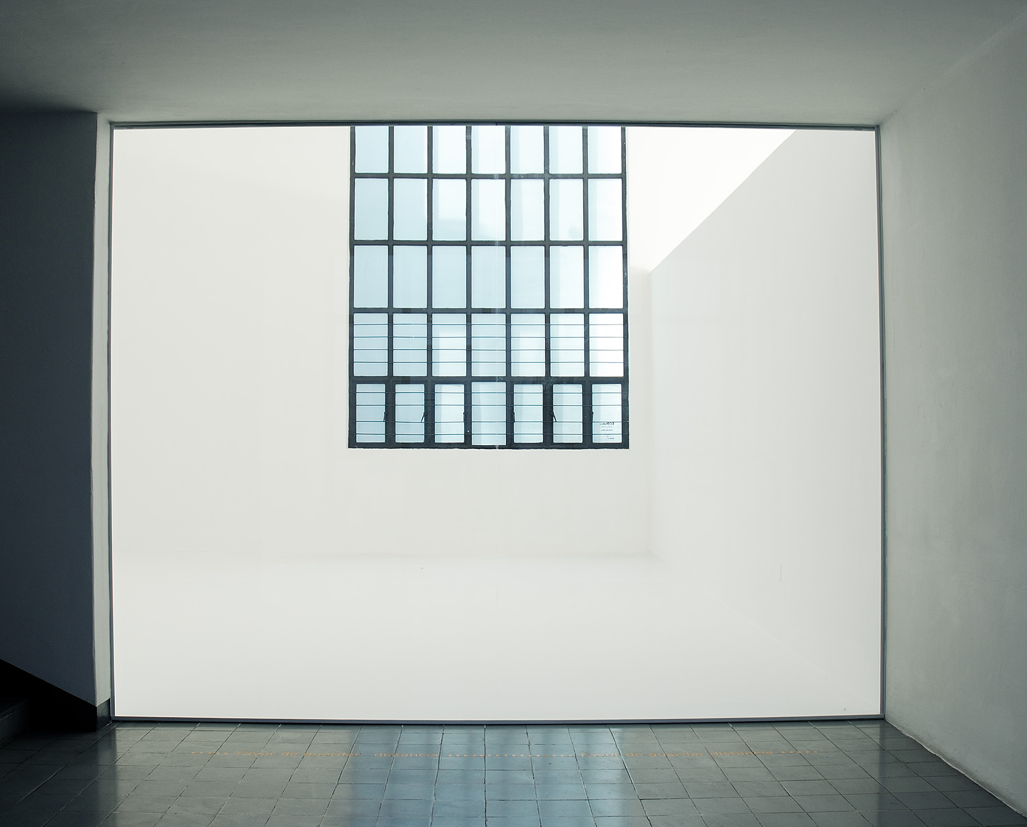 Traslúcido : Francisco Ugarte