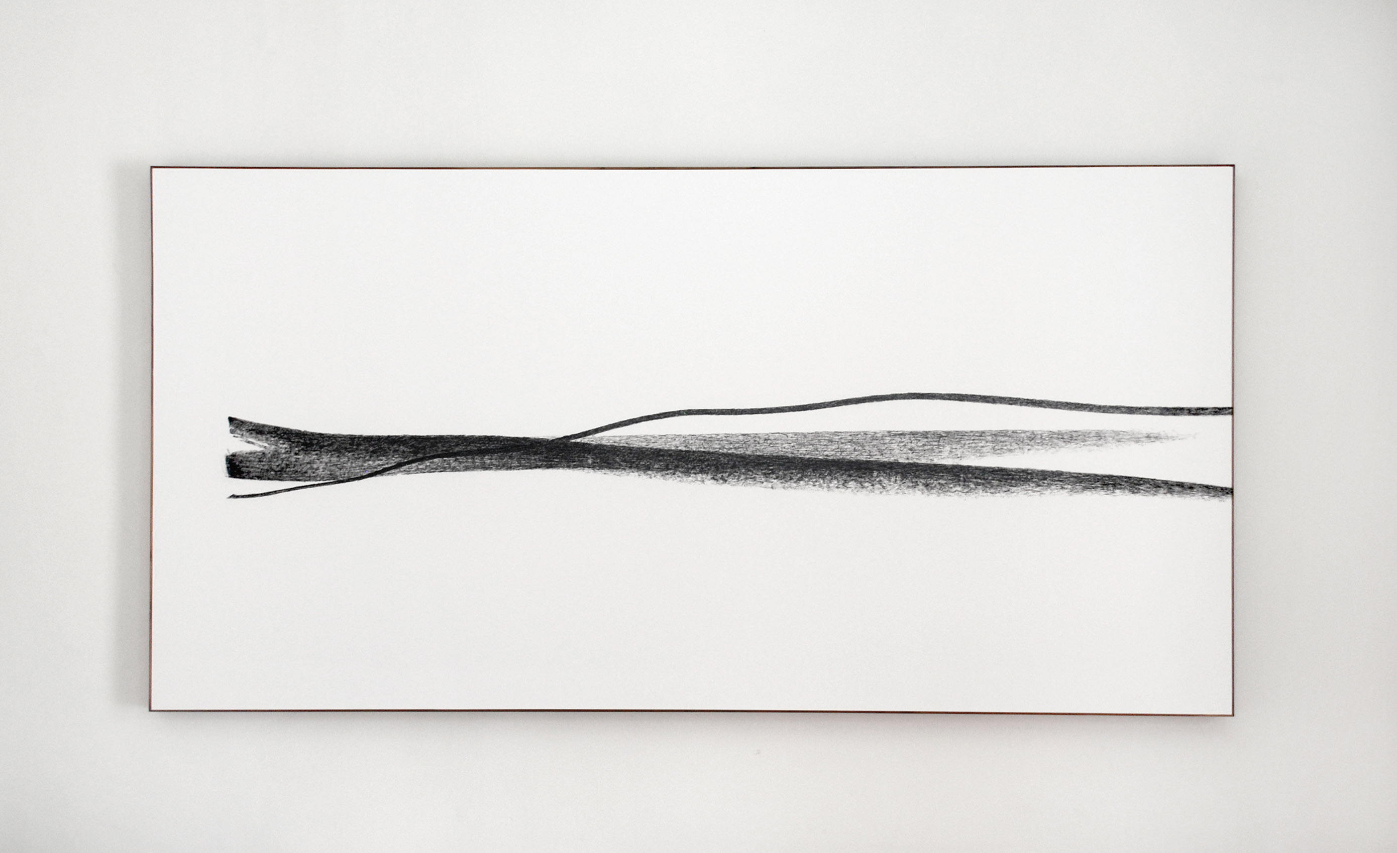 Líneas, 2013 - 2015 : Francisco Ugarte