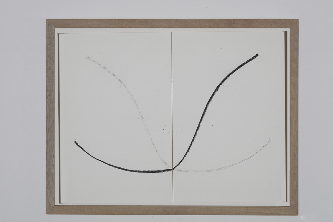 Live reflections, 2019 : Francisco Ugarte