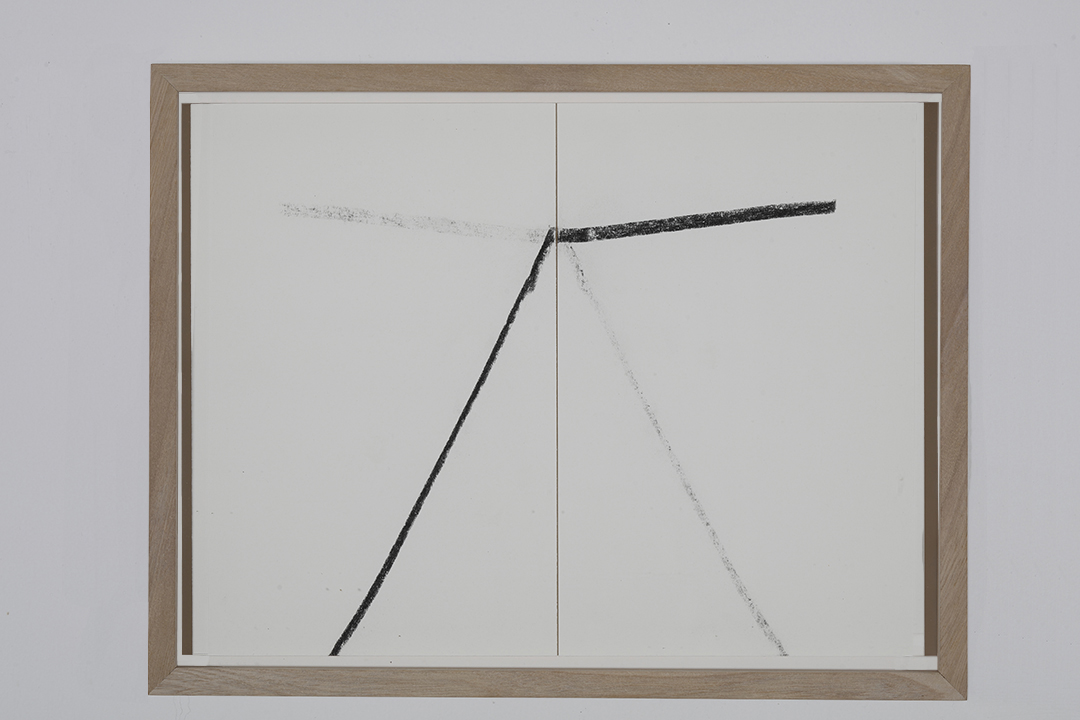 Live reflections, 2019 : Francisco Ugarte