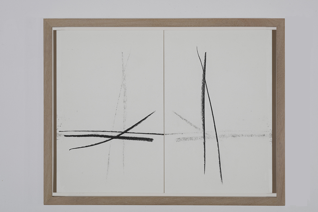 Live reflections, 2019 : Francisco Ugarte