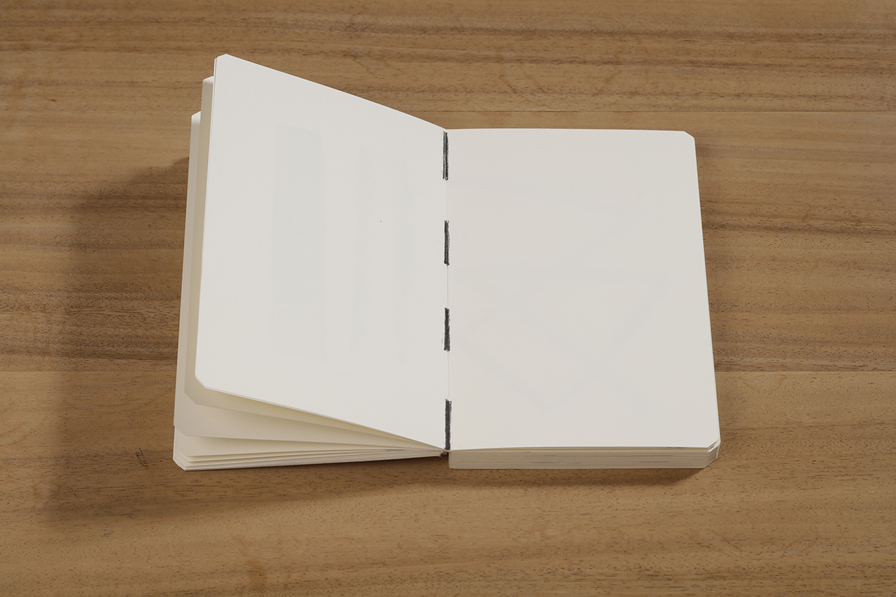 Reflection, 2018 : Francisco Ugarte