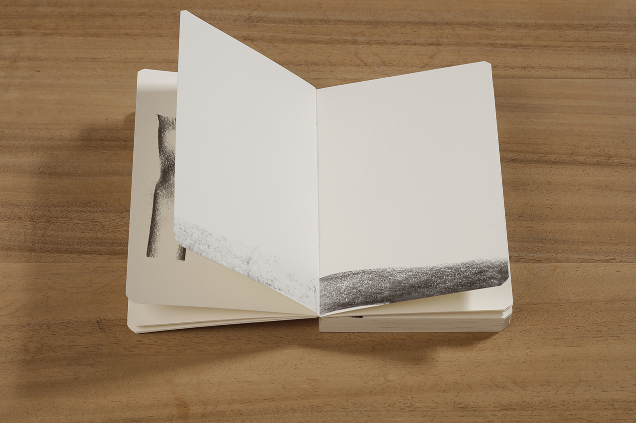 Reflection, 2018 : Francisco Ugarte