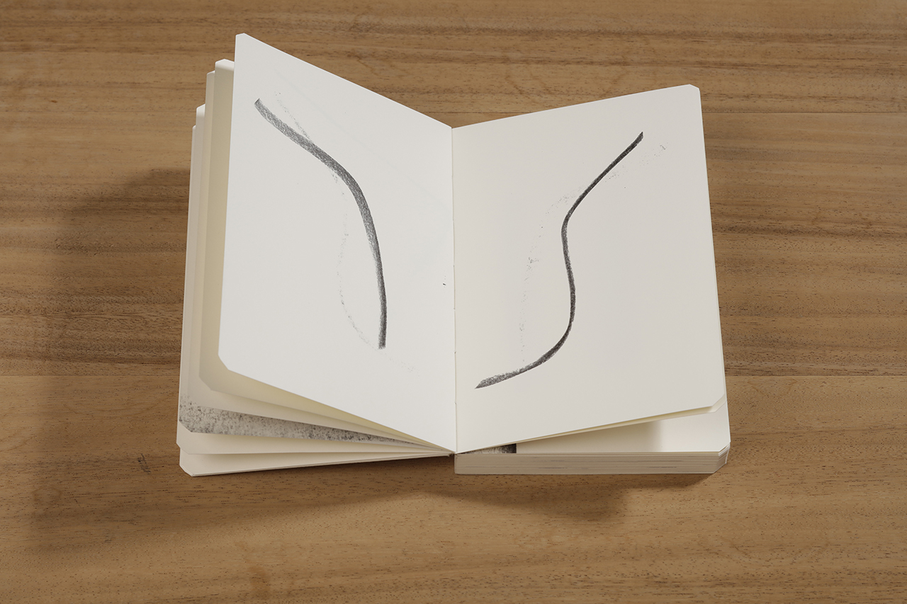 Reflection, 2018 : Francisco Ugarte