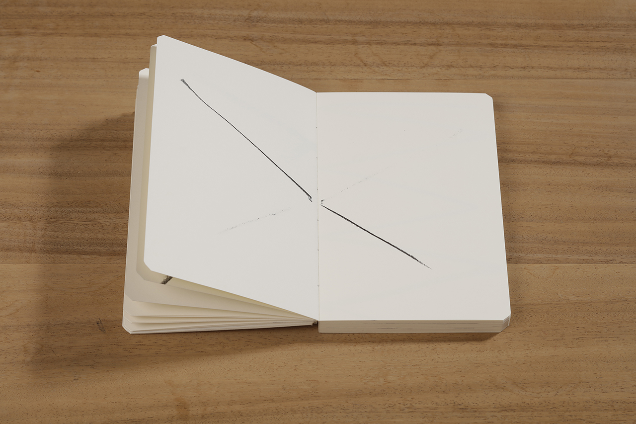 Reflection, 2018 : Francisco Ugarte