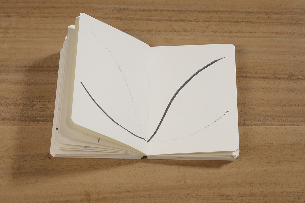 Reflection, 2018 : Francisco Ugarte