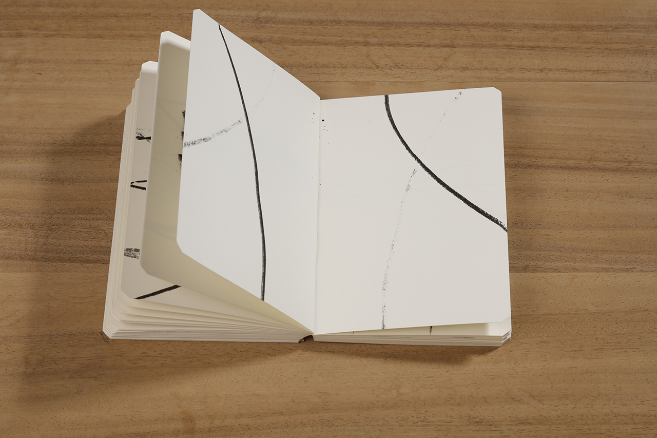 Reflection, 2018 : Francisco Ugarte