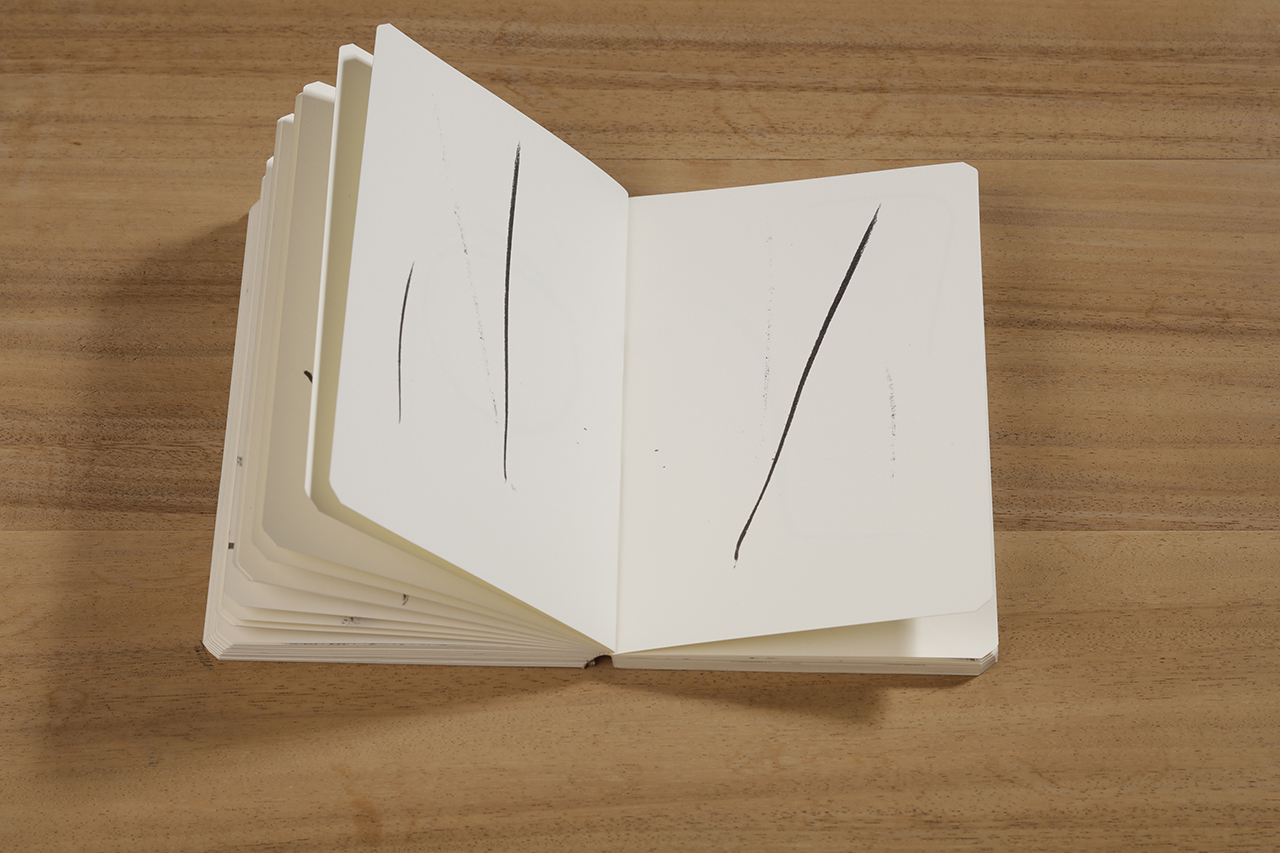 Reflection, 2018 : Francisco Ugarte