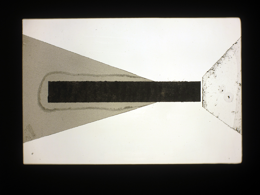 Sin título (transparencia de cintas, fotografías), 2009 : Francisco Ugarte