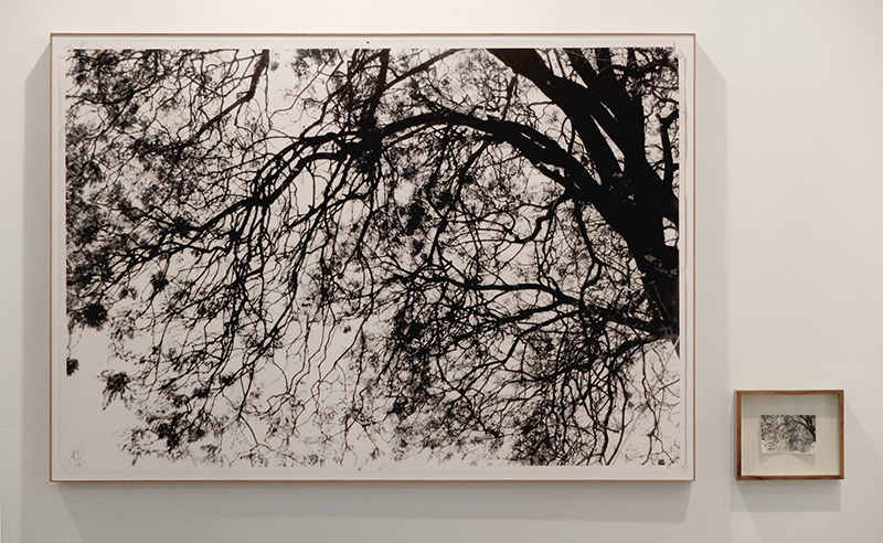 Fotografía, 2014 : Francisco Ugarte