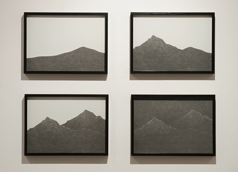 Paisaje oscuro, proceso, 2008 : Francisco Ugarte