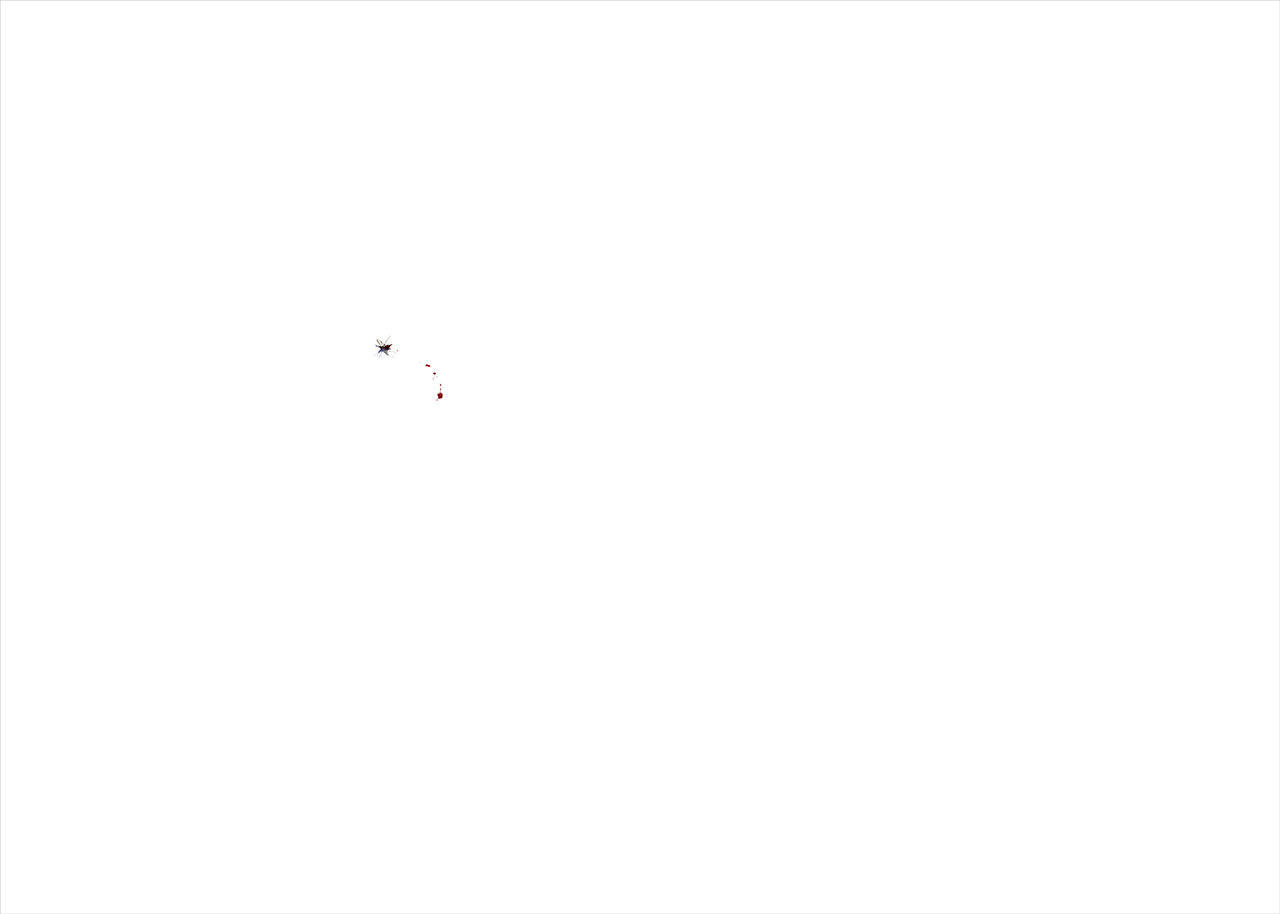 Sin título (Mosquito y Papel), 2017 : Francisco Ugarte