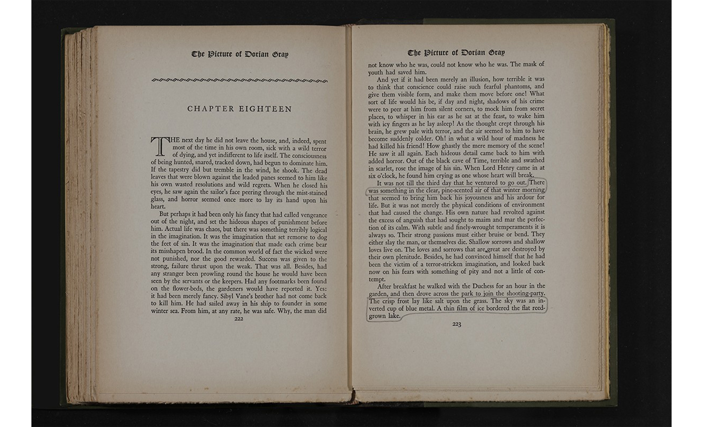 Paisajes literarios (El retrato de Dorian Gray, Oscar Wilde), libro, 2015 : Francisco Ugarte