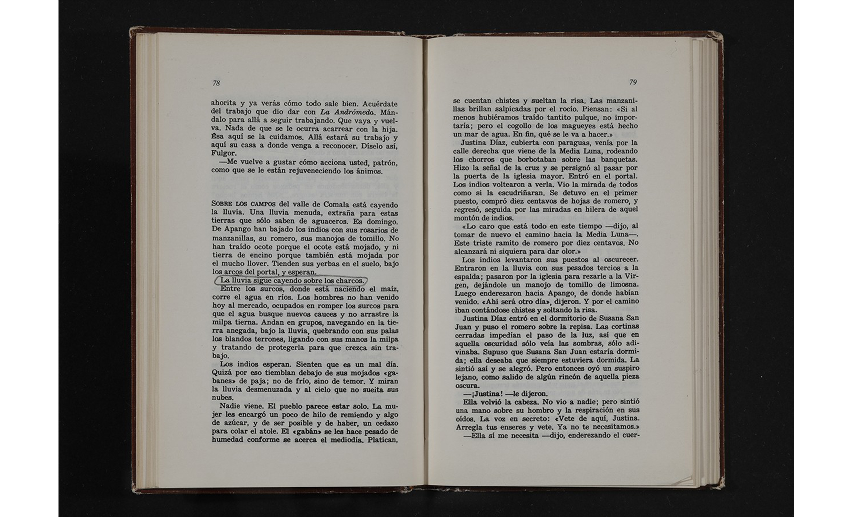 Paisajes literarios (Juan Rulfo), libro, 2015 : Francisco Ugarte