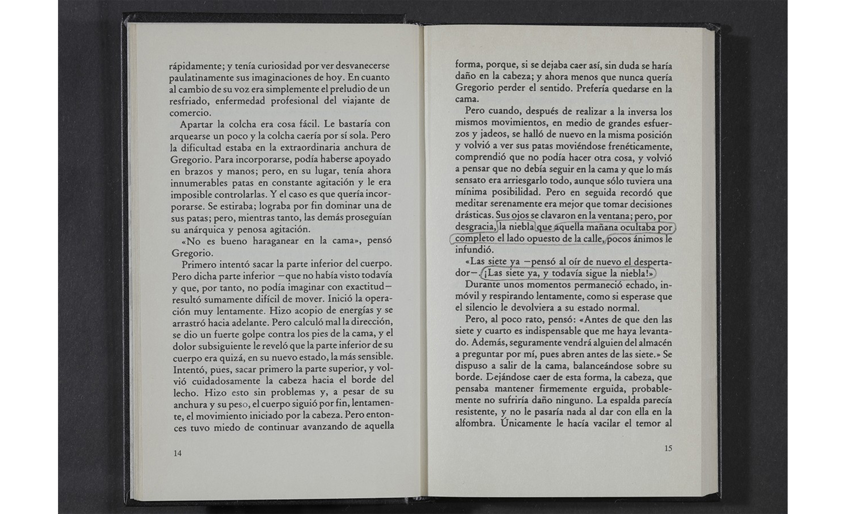 Paisajes literarios (La transformación, Franz Kafka), libro, 2015 : Francisco Ugarte