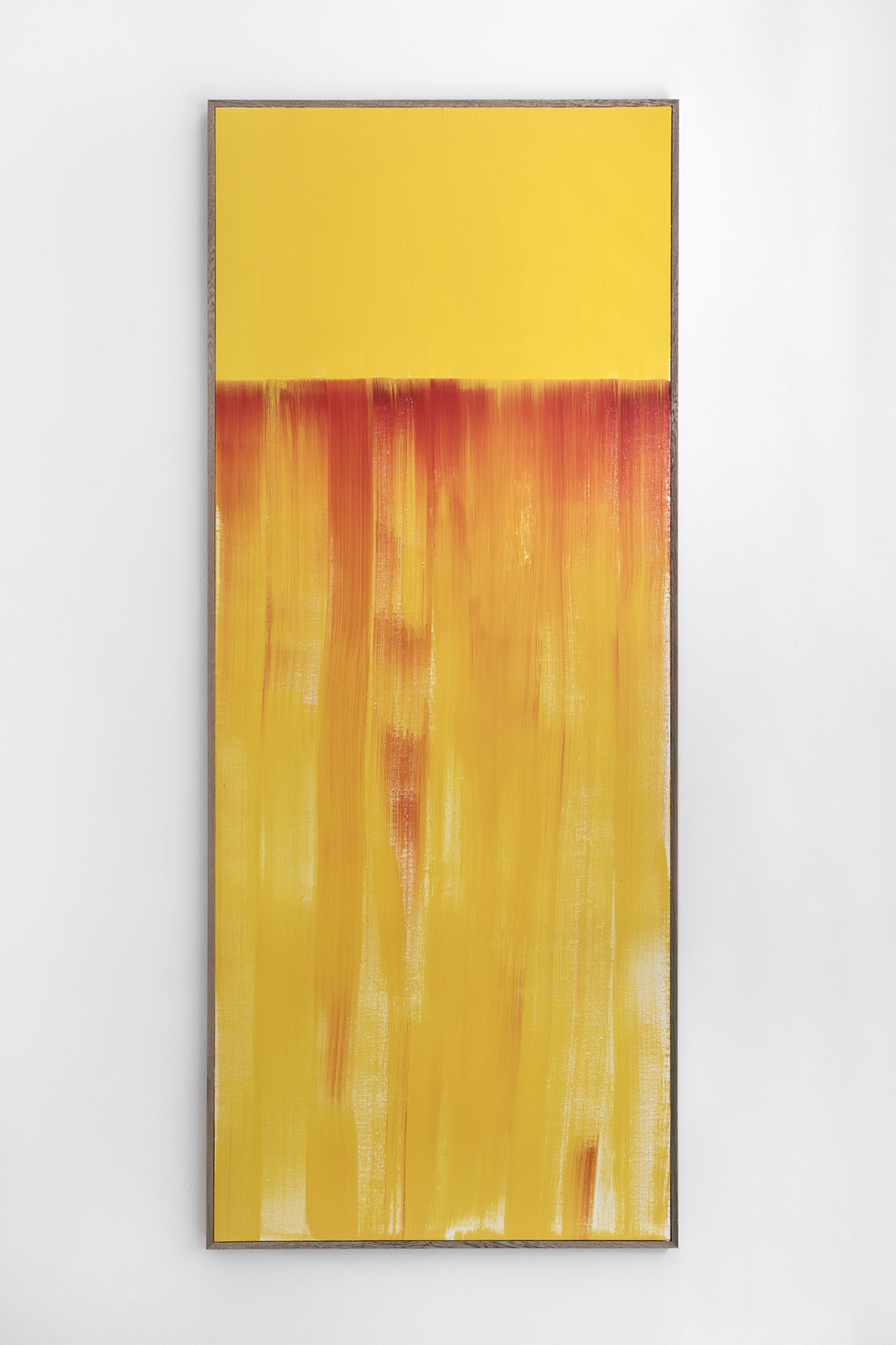 Amarillo casi rojo casi azul, 2022 : Francisco Ugarte