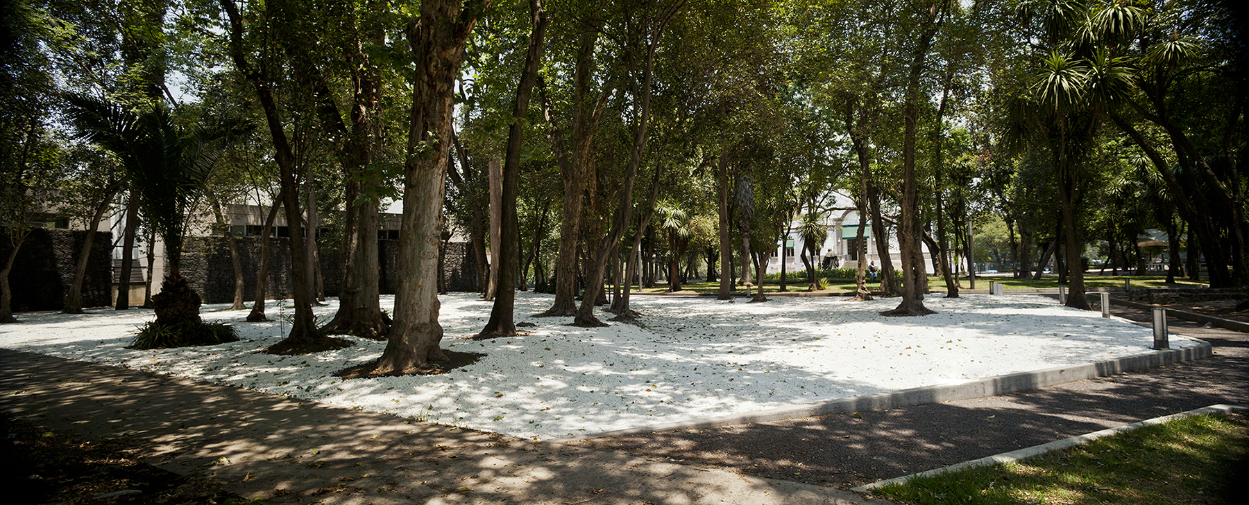 Sitio Específico : Francisco Ugarte