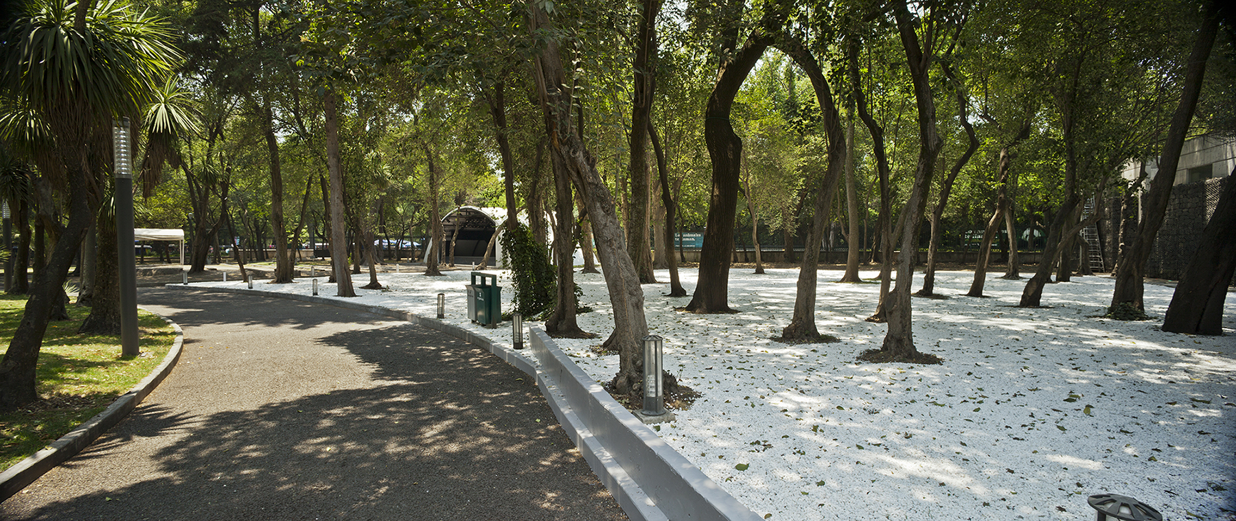 Capítulo sugerido, 2013 : Francisco Ugarte