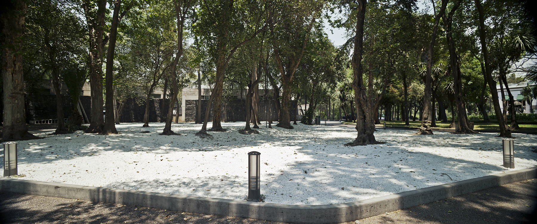 Capítulo sugerido, 2013 : Francisco Ugarte