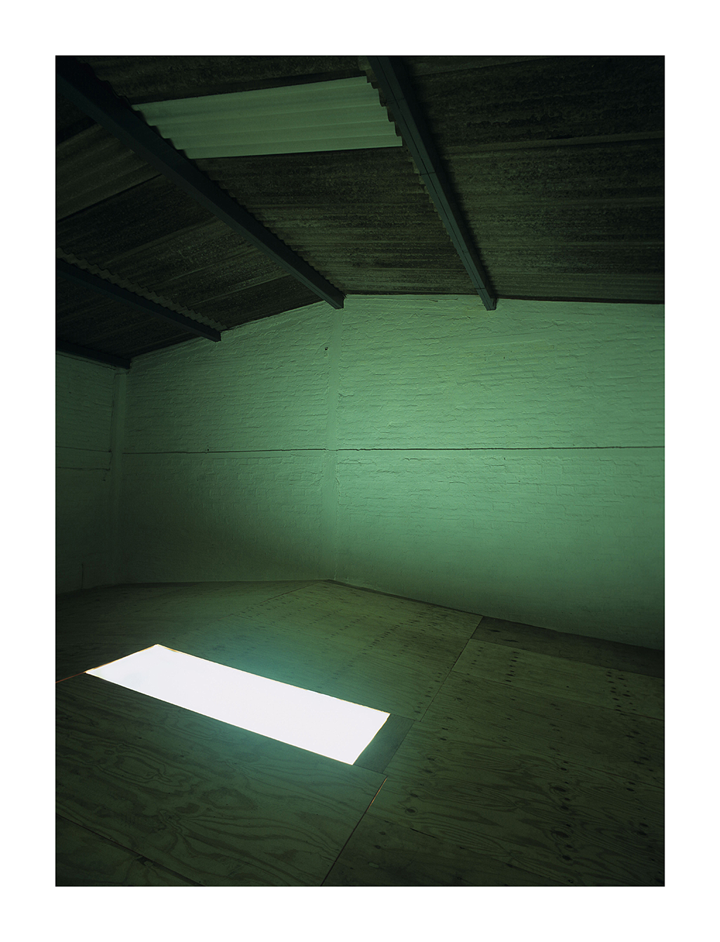 Diálogo, 2007 : Francisco Ugarte