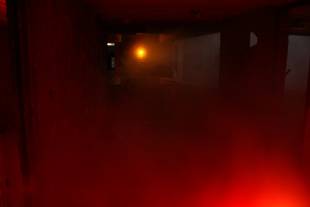 No tememos las ruinas, 2012 : Francisco Ugarte