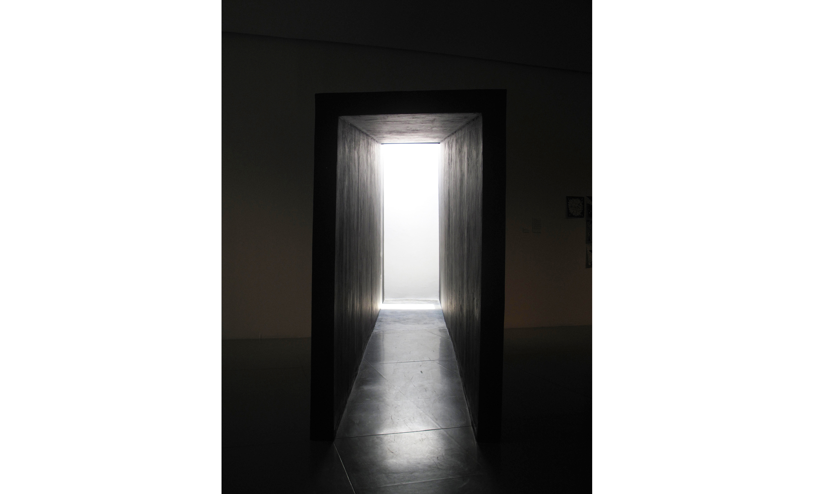 Sin título (MAZ), 2010 : Francisco Ugarte