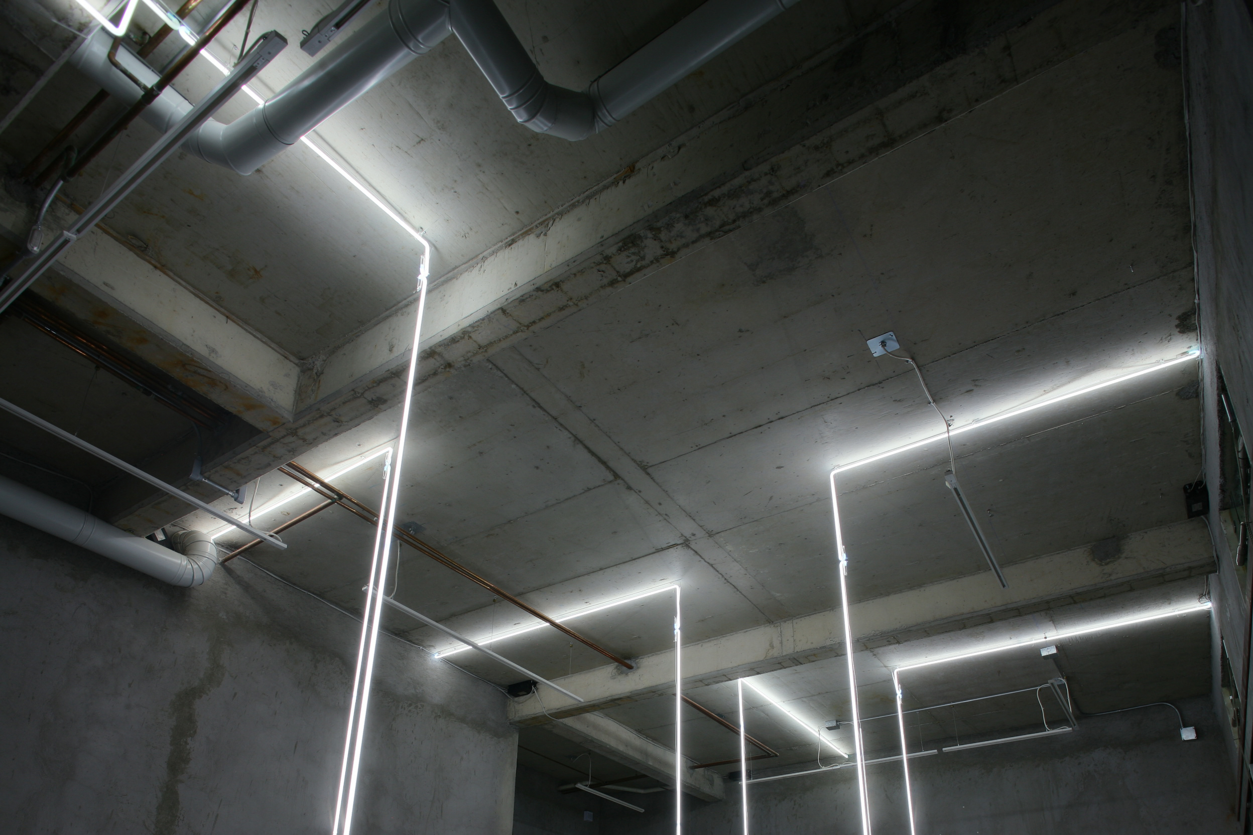 Sin título (Neón blanco), 2009 : Francisco Ugarte