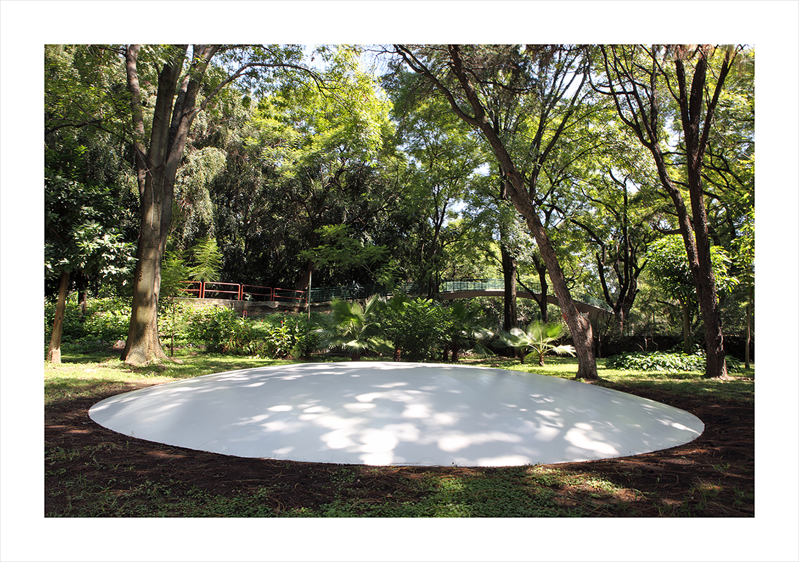 Sitio Específico : Francisco Ugarte