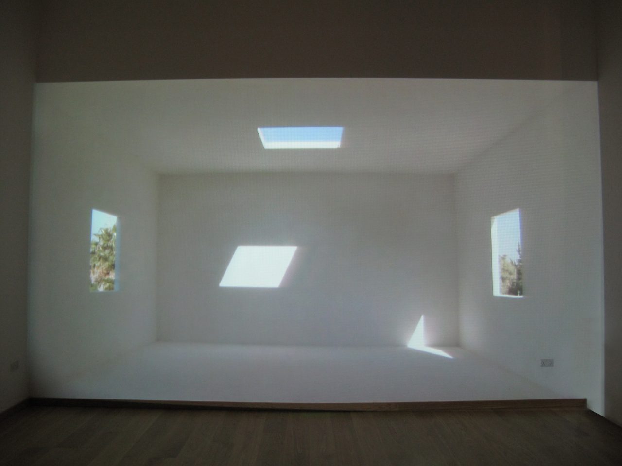 8 de Enero, 2009 : Francisco Ugarte