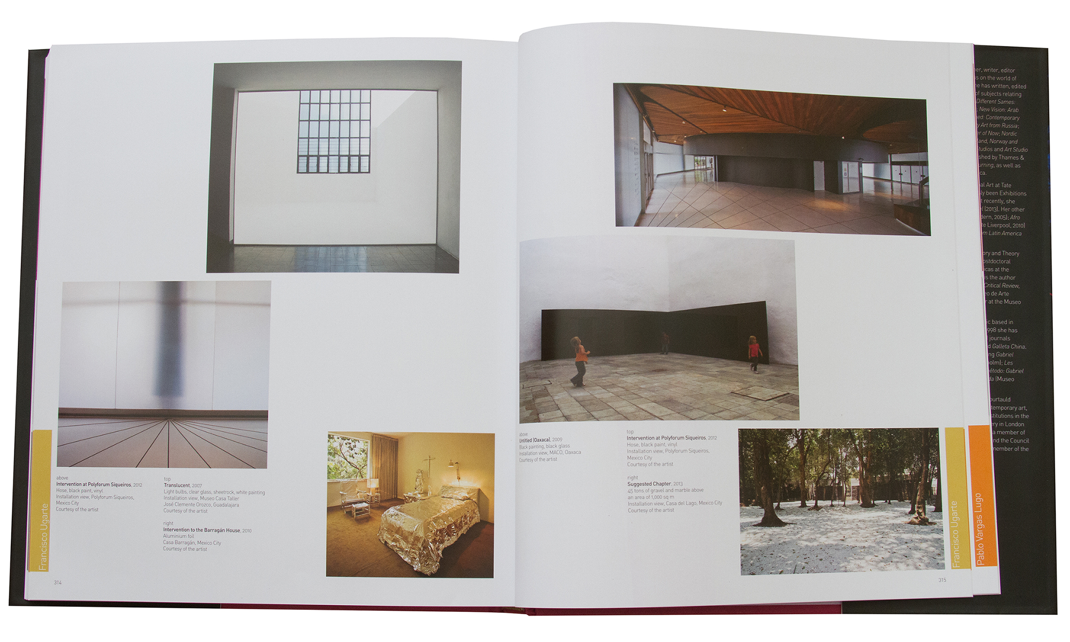 Libro CONTEMPORARY ART MEXICO : Francisco Ugarte