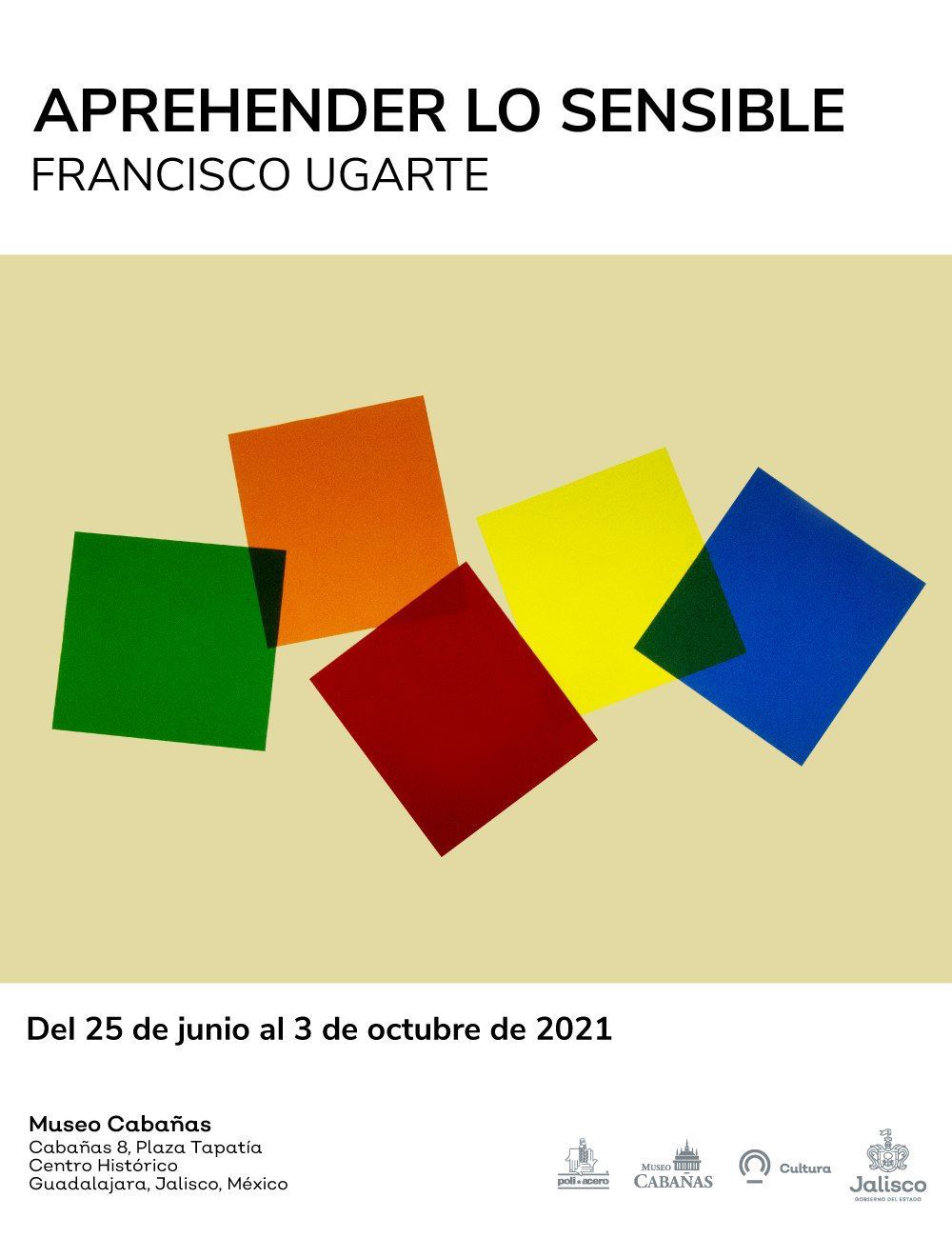 Aprehender lo sensible : Francisco Ugarte