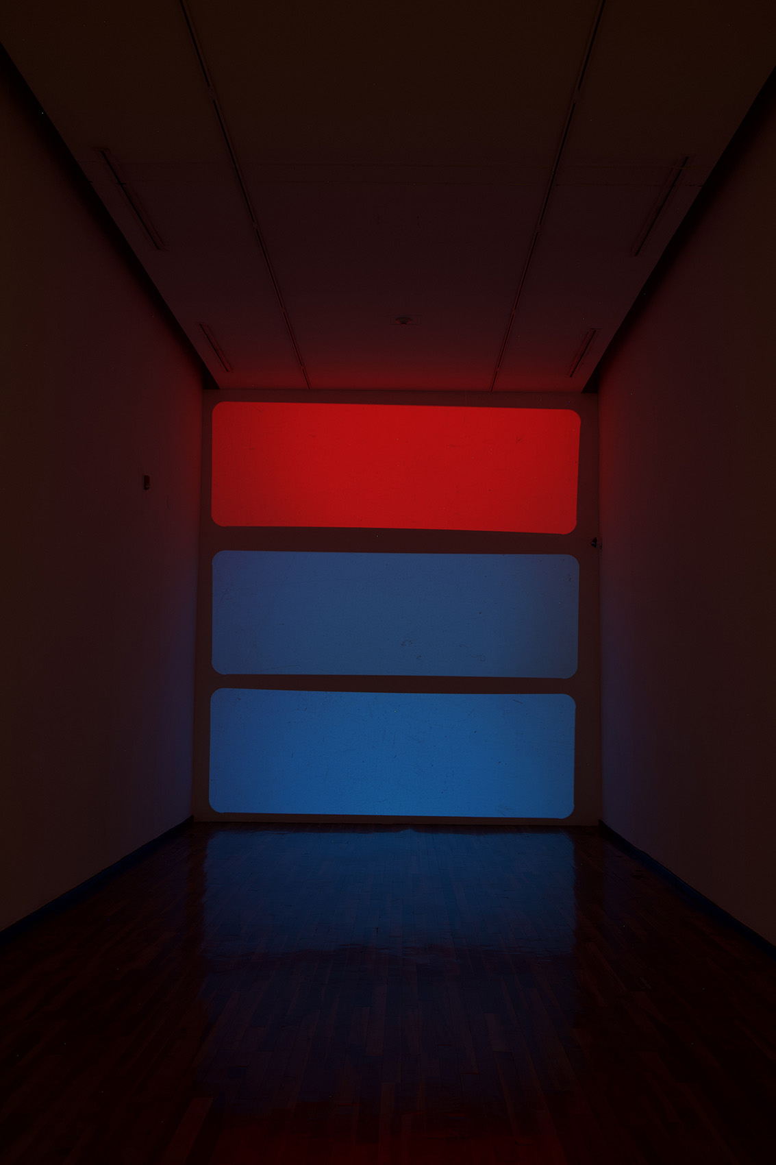 Aprehender lo sensible : Francisco Ugarte