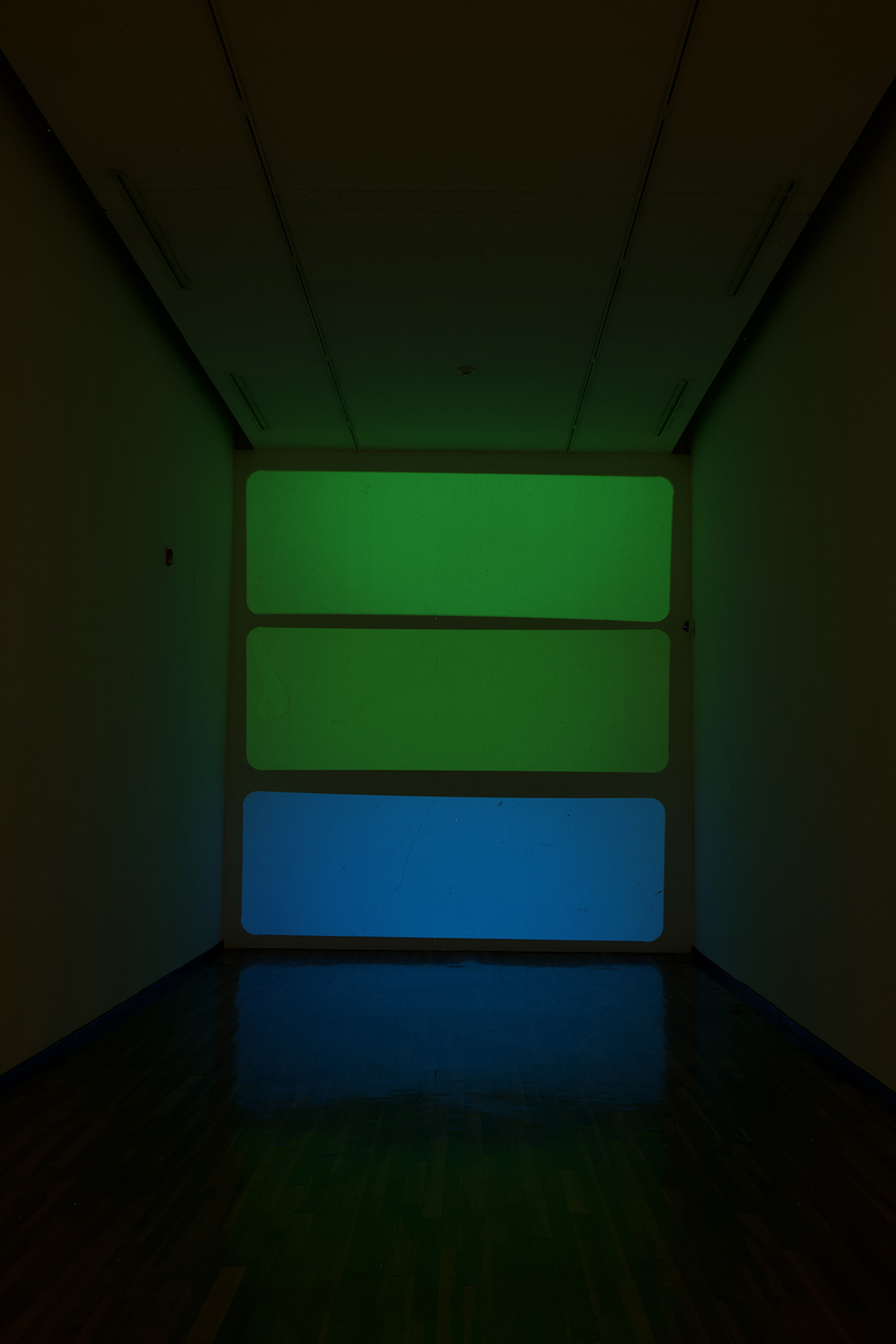 Aprehender lo sensible : Francisco Ugarte