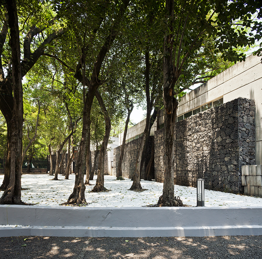 Capitulo Sugerido : Francisco Ugarte