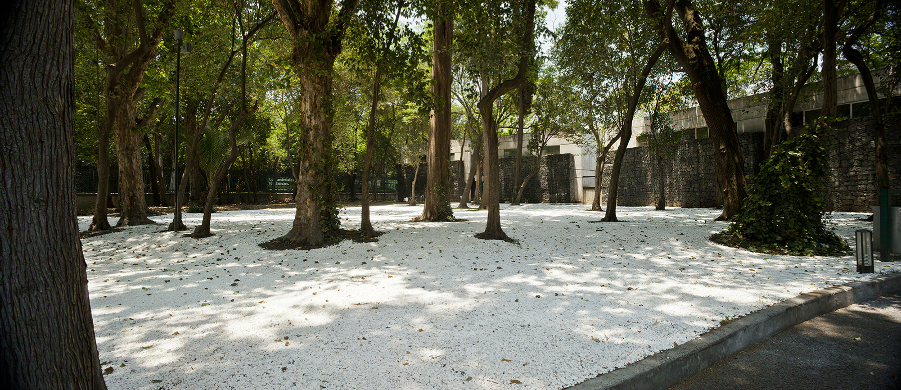 Capitulo Sugerido : Francisco Ugarte