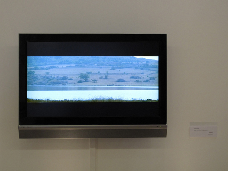 New Work : Francisco Ugarte