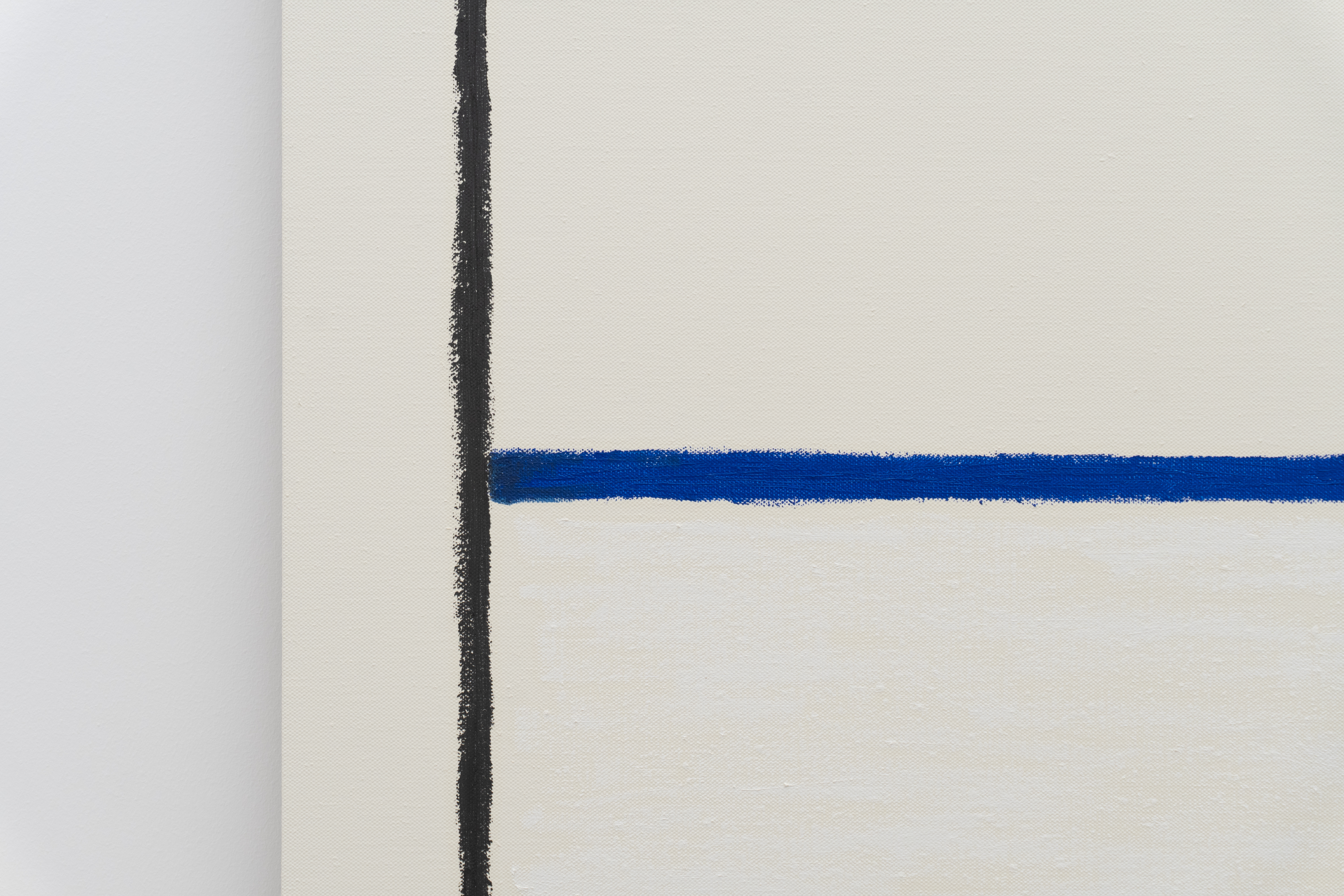 Nothing but the Color of Light : Francisco Ugarte