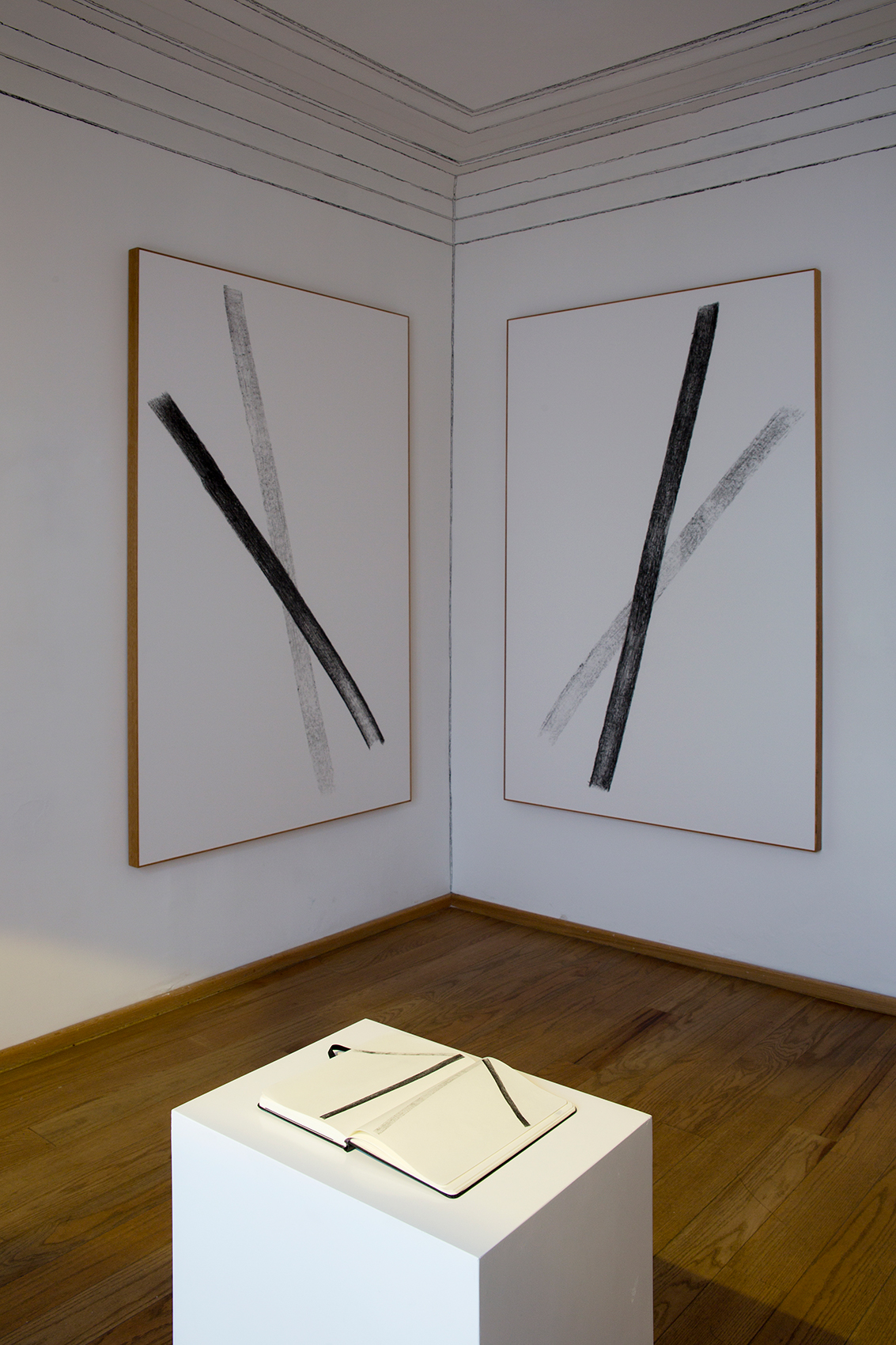 Profunda Atención : Francisco Ugarte