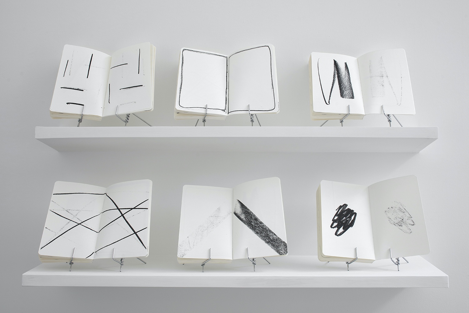 Reflection : Francisco Ugarte