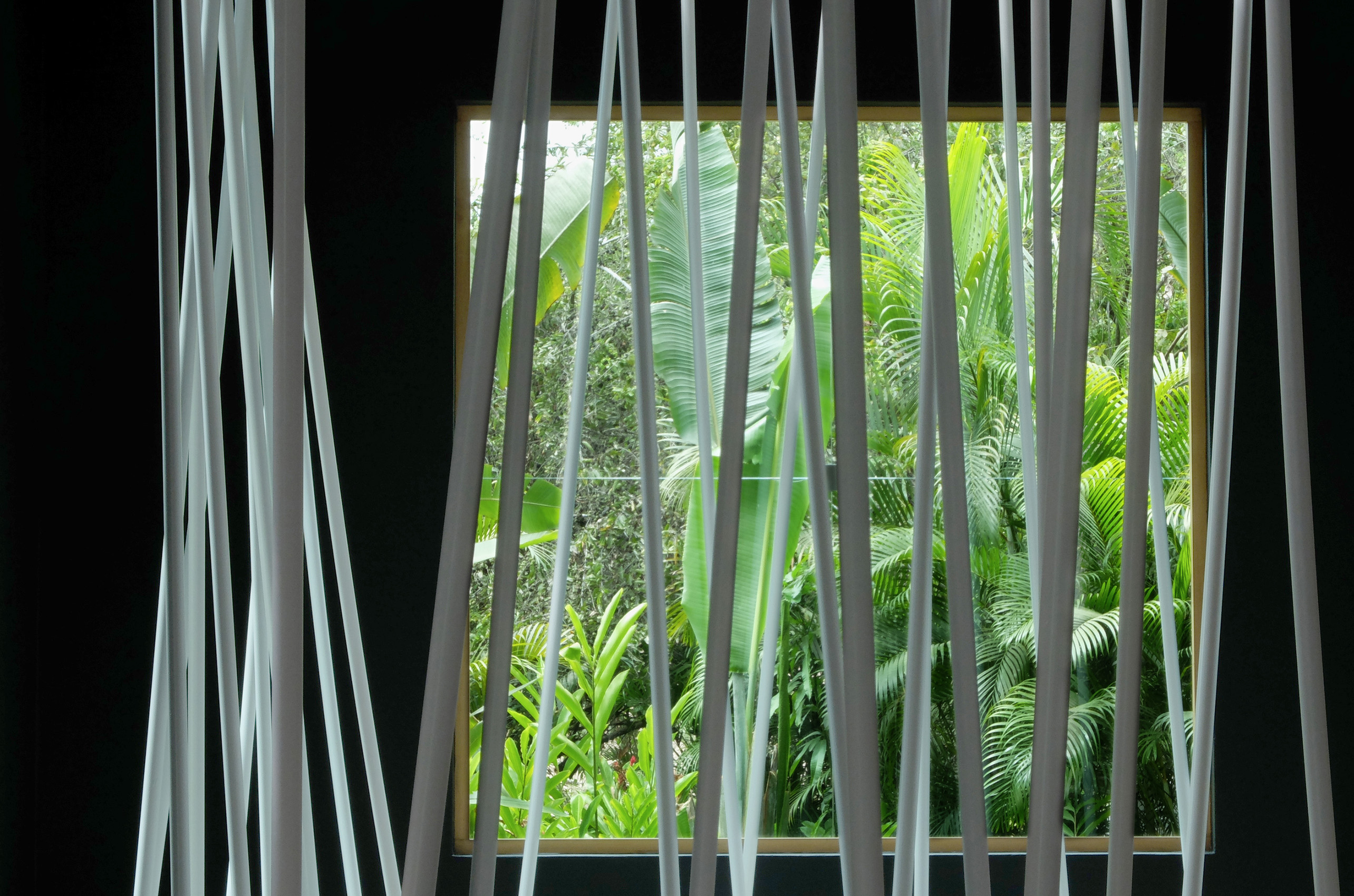 Sin Título (Pintura Negra y Tubos Blancos) : Francisco Ugarte