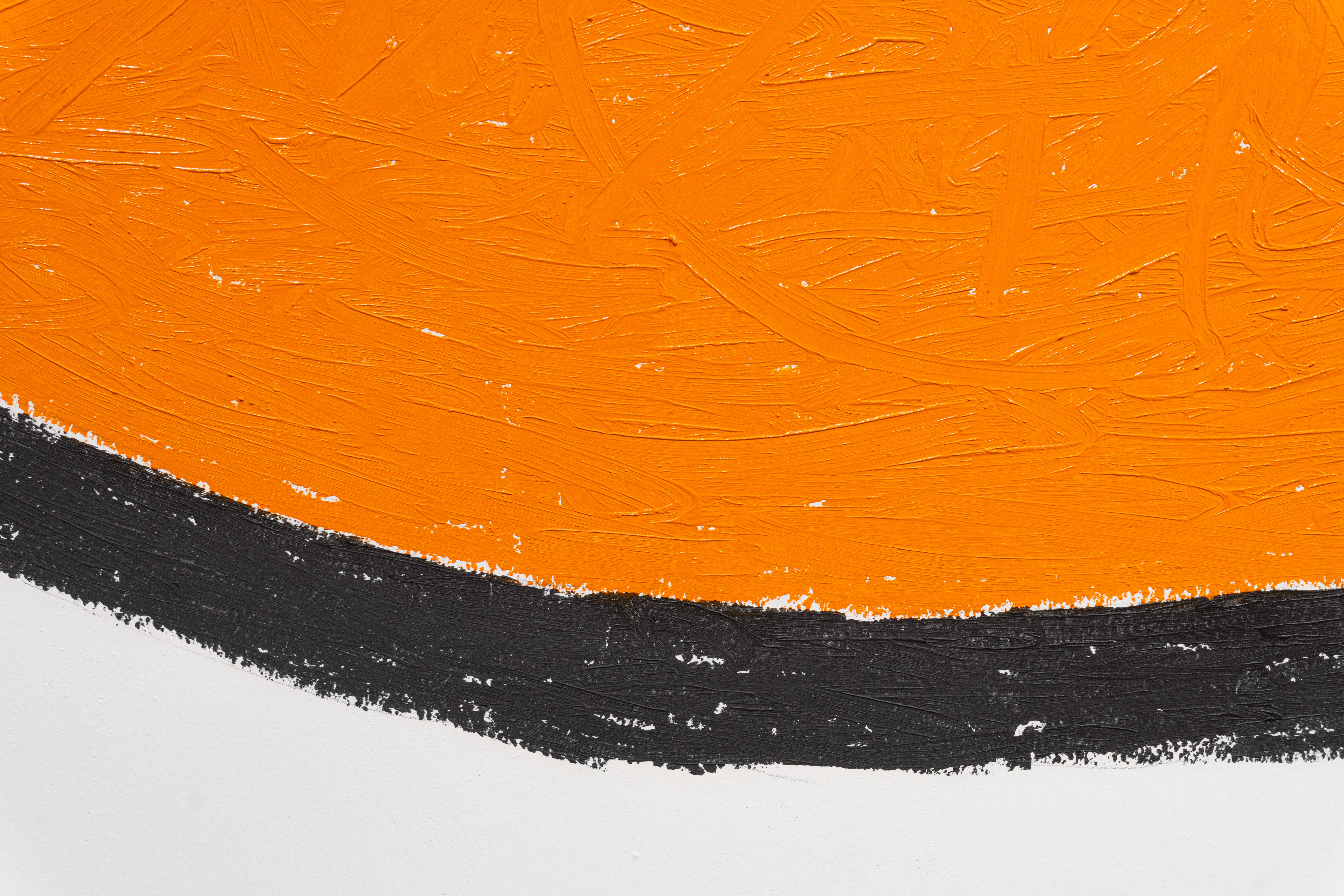 Paisaje gestual 10 (mural), 2024 : Francisco Ugarte