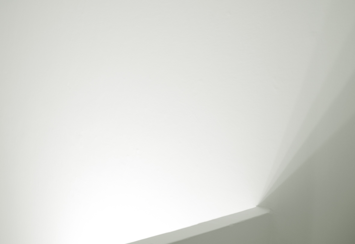 Traslúcido, 2007 : Francisco Ugarte